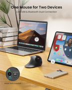 WorkEase Vertical Ergonomic Mouse